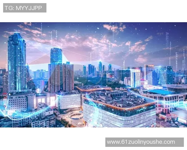 南京排球队进攻革新之路探索与展望分析