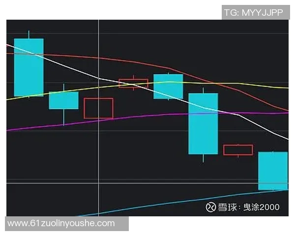 广州羽毛球队防守策略深度解析与实战技巧分享