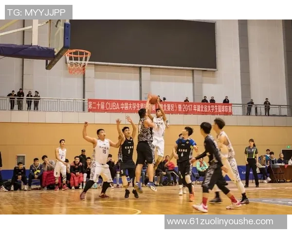 武汉篮球队比赛经验深度对比分析及其对未来发展的影响探讨