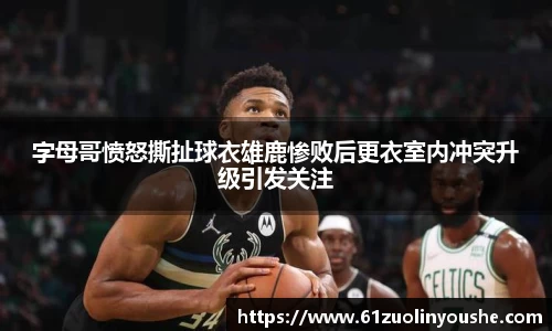 jbo竞博.体育官方网站