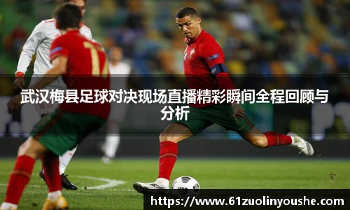 武汉梅县足球对决现场直播精彩瞬间全程回顾与分析